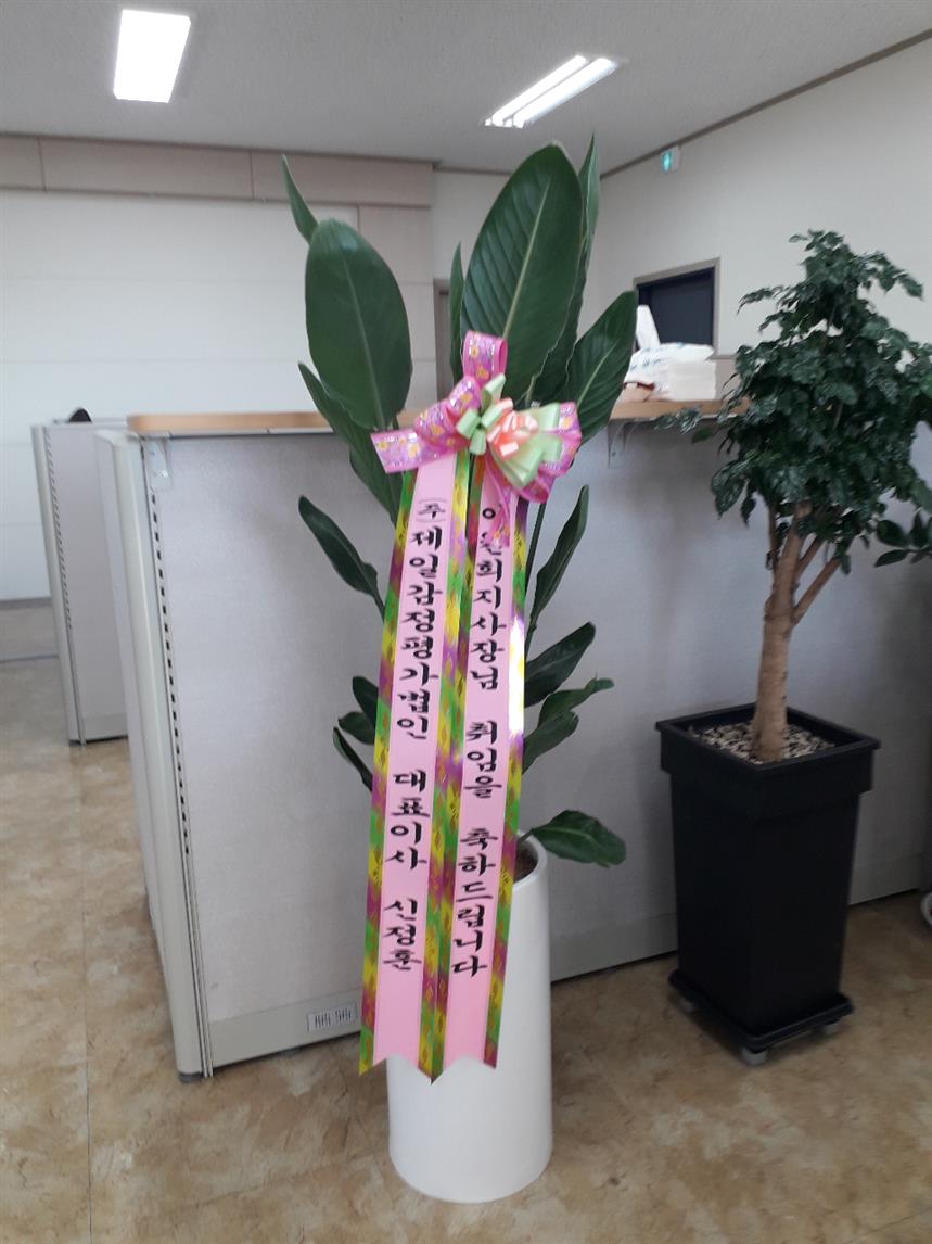 배송사진