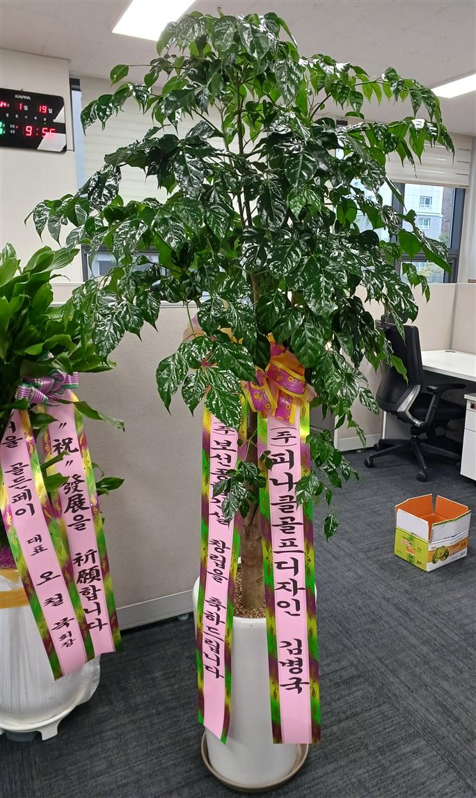배송사진