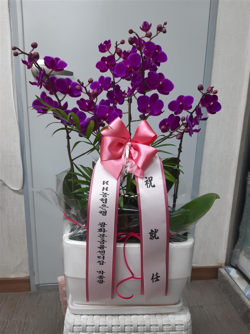 배송사진2