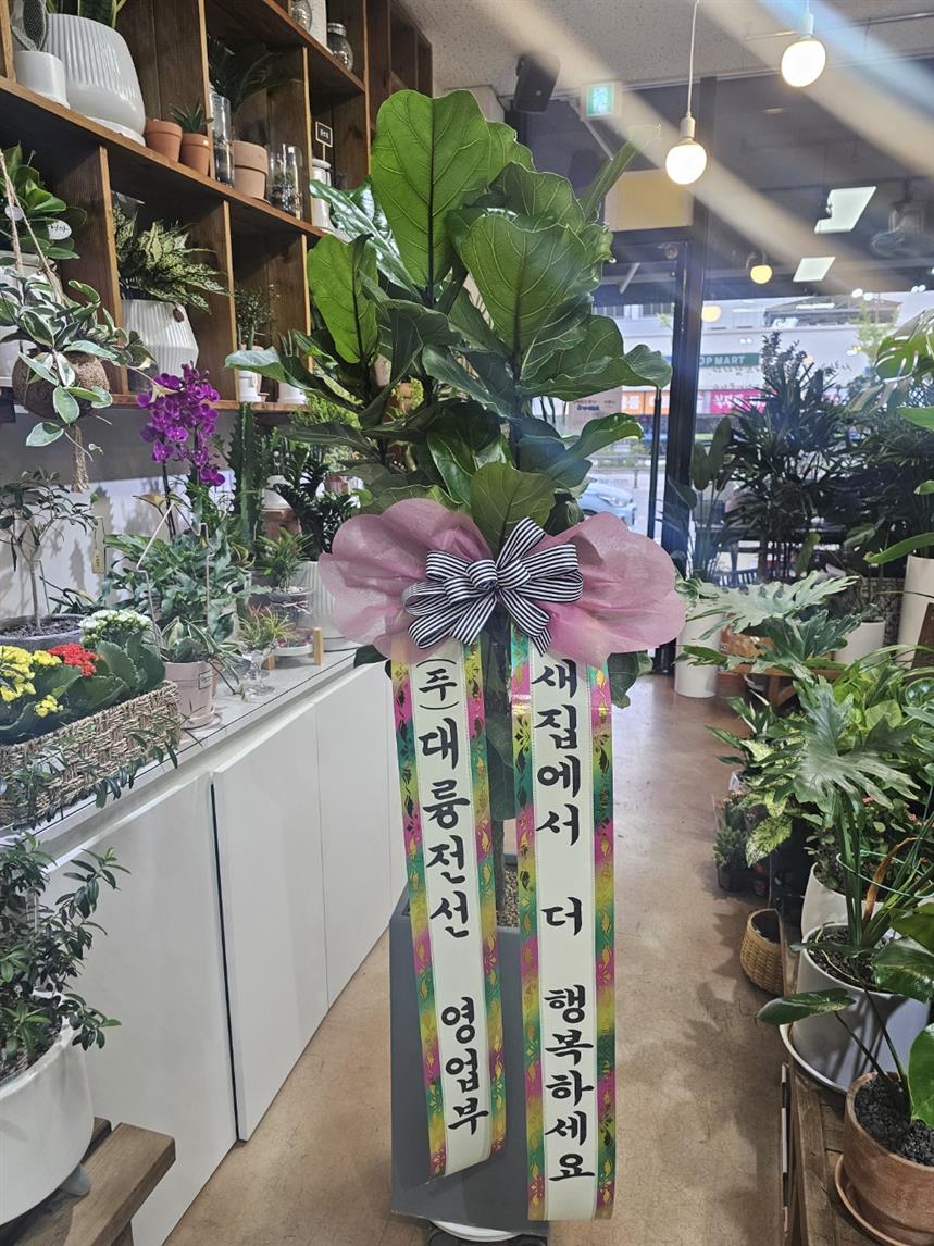 배송사진