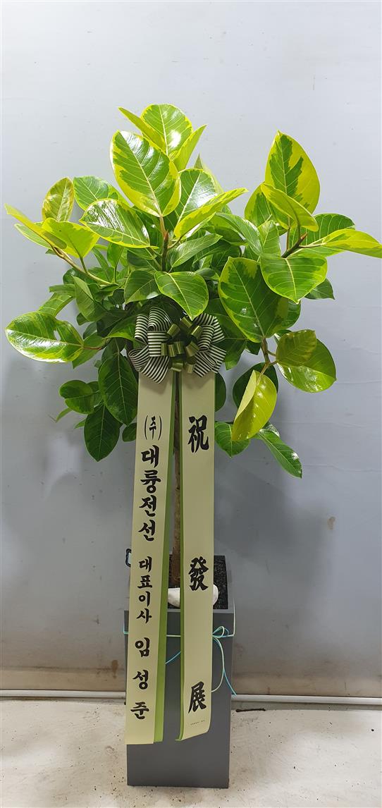 배송사진