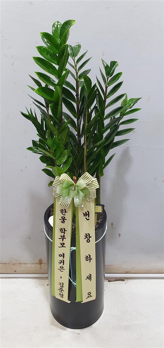 배송사진2