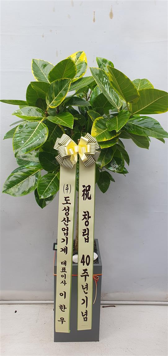배송사진2