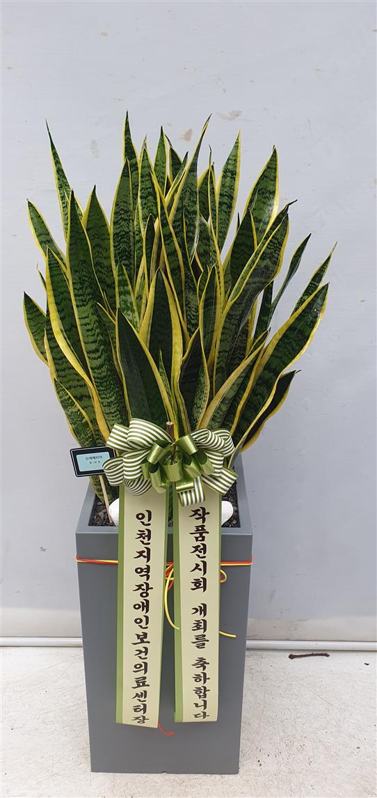 배송사진2