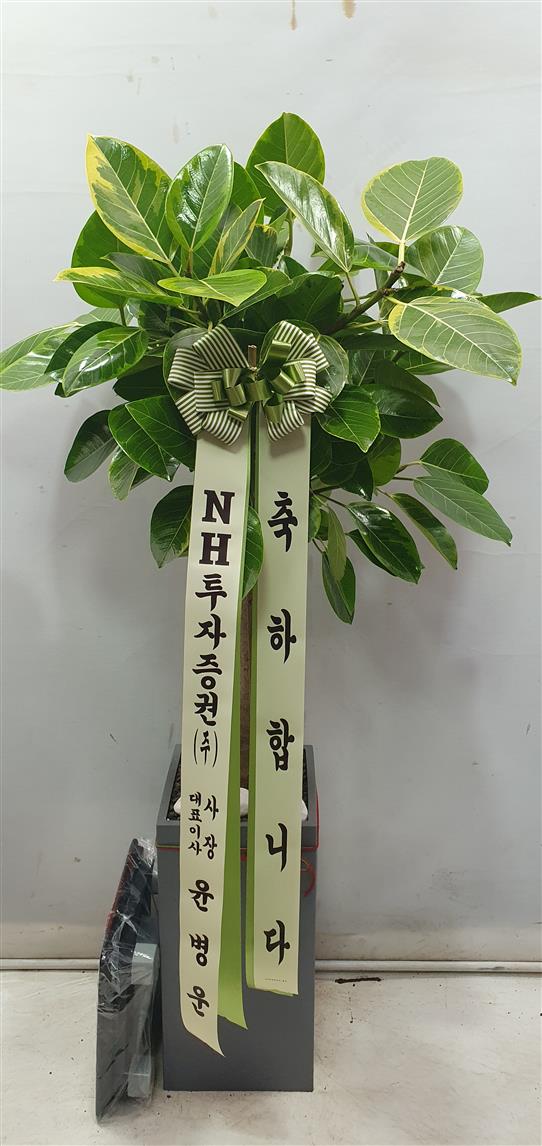 배송사진2