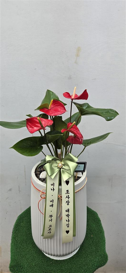 배송사진2