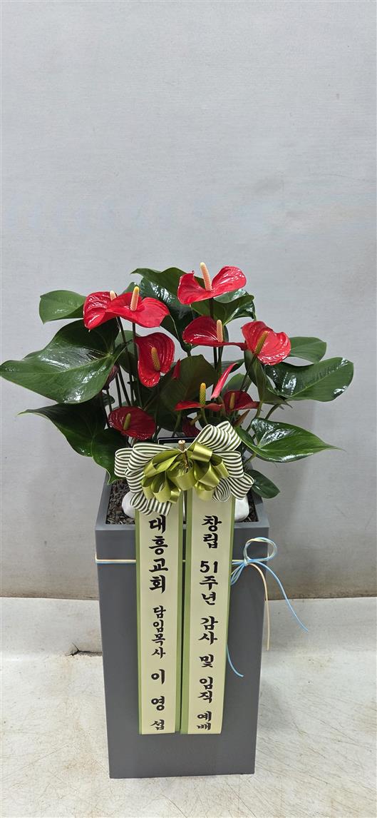 배송사진2