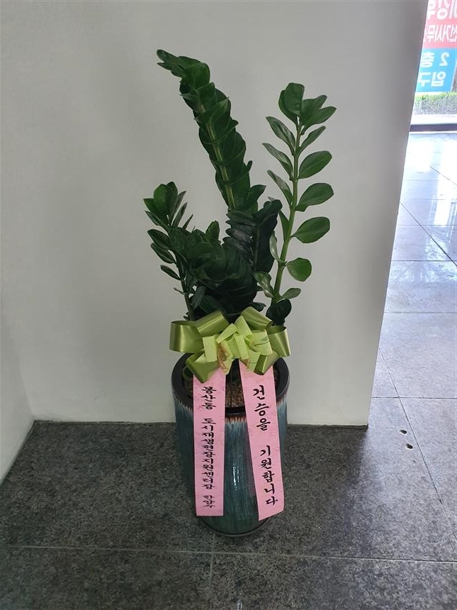 배송사진