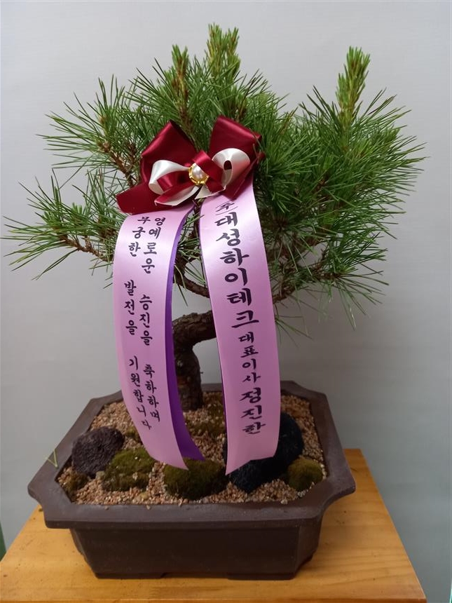 배송사진