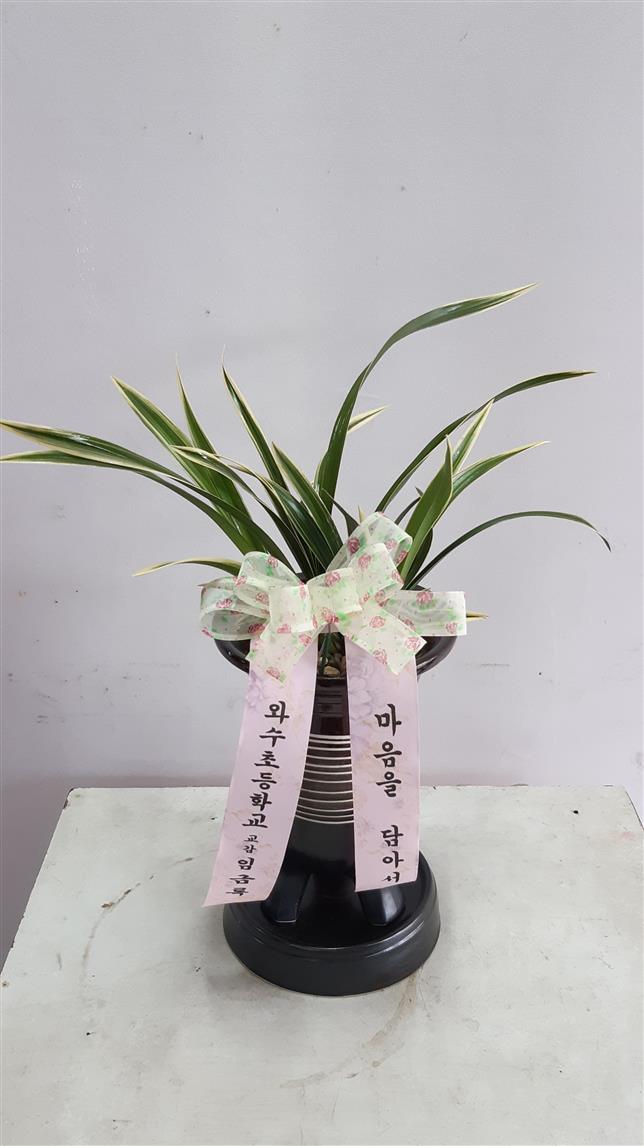 배송사진