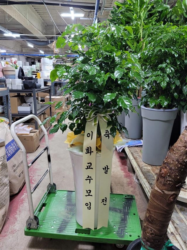 배송사진