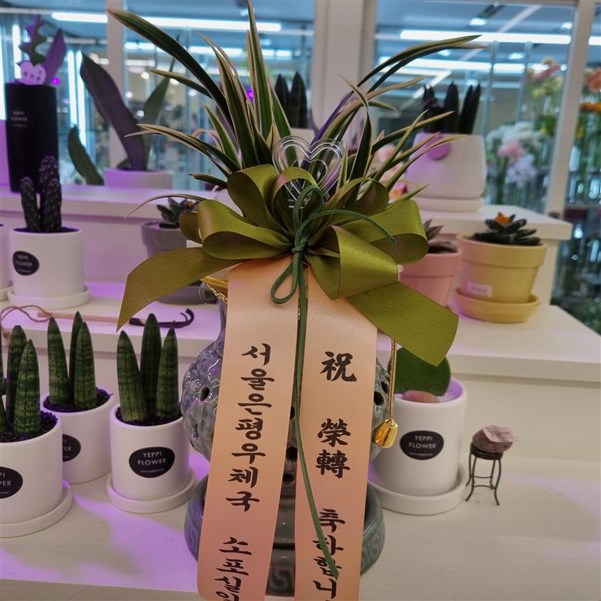 배송사진