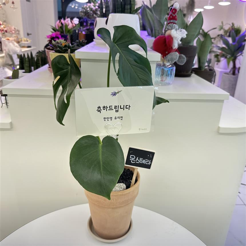 배송사진