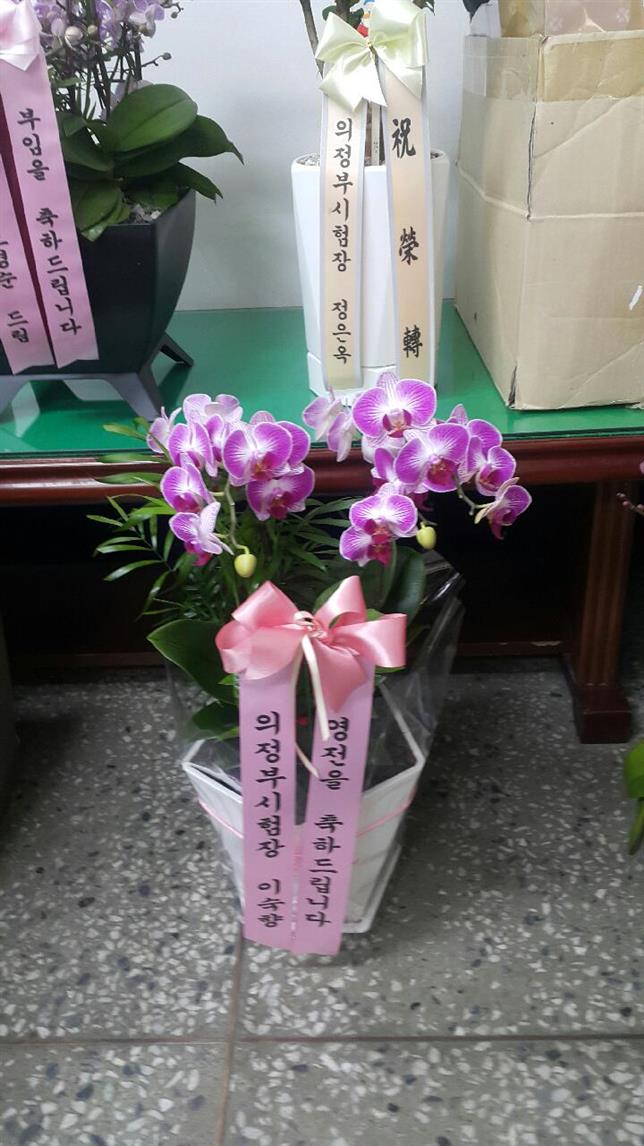 배송사진