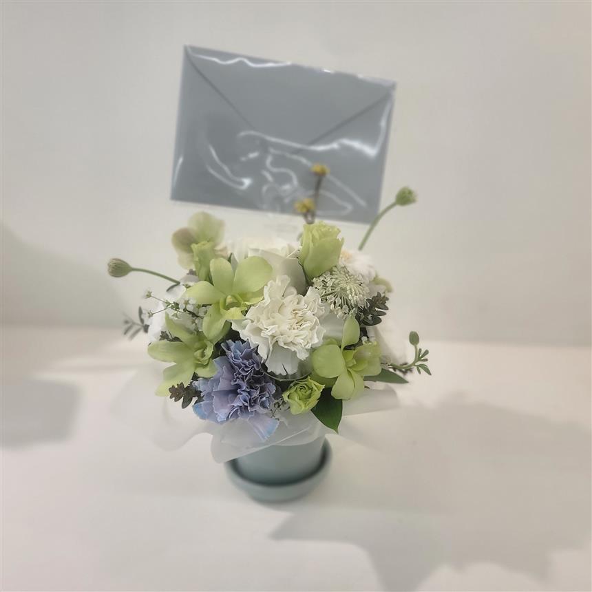 배송사진