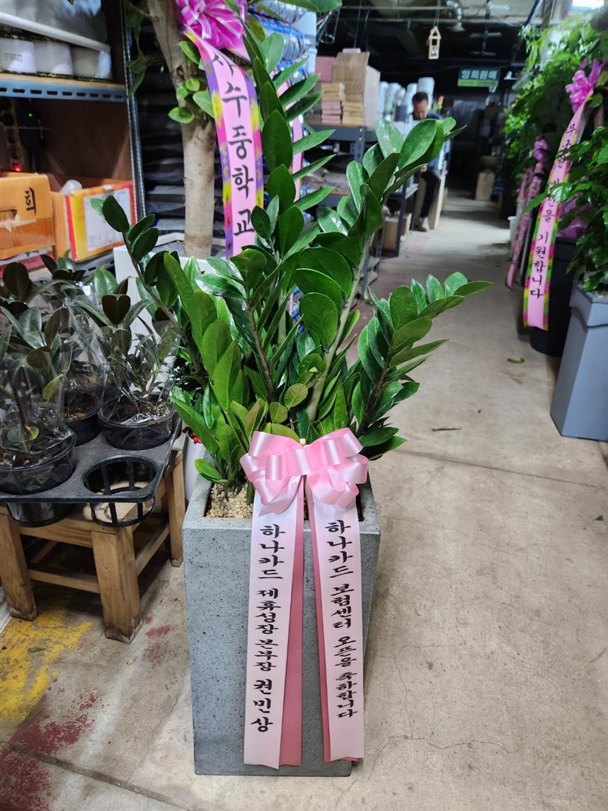 배송사진