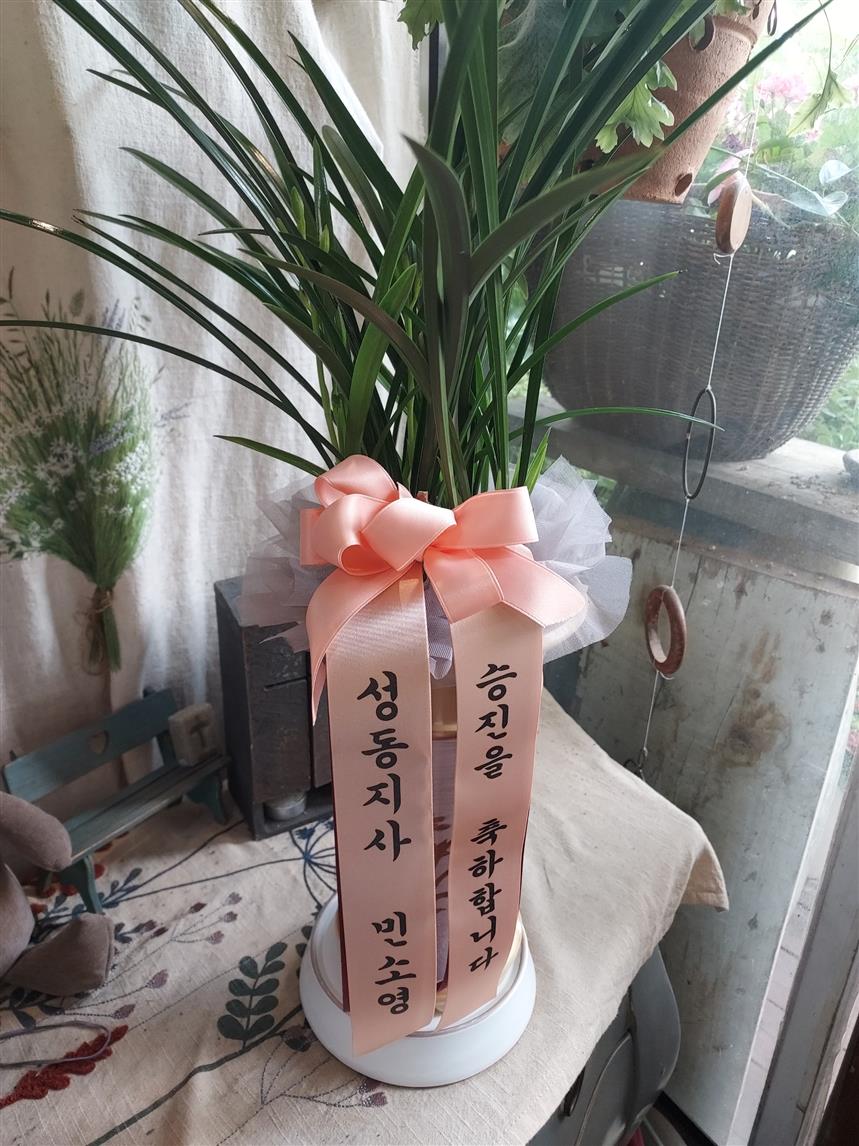 배송사진