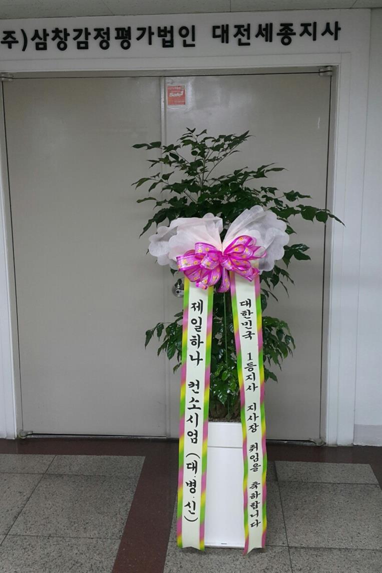 배송사진