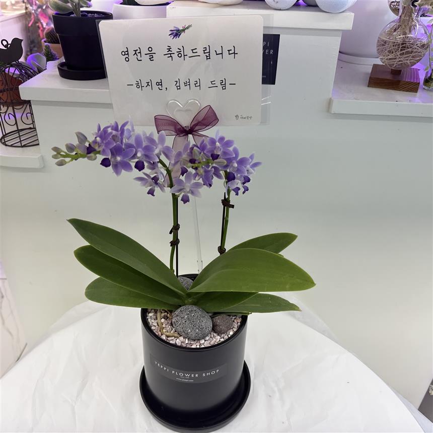 배송사진