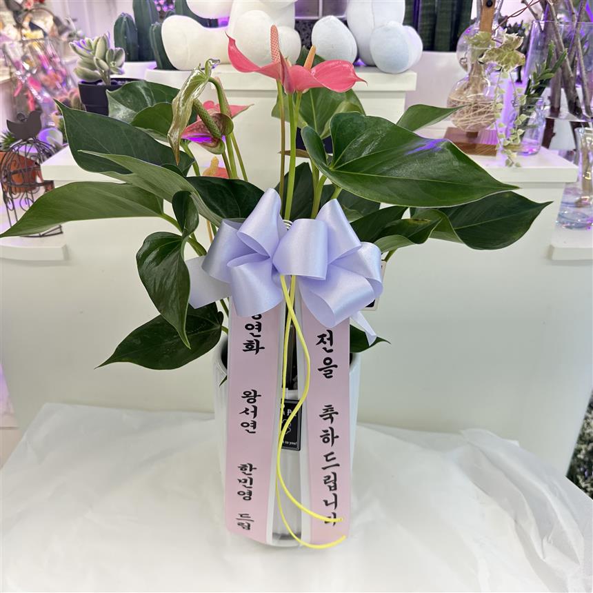 배송사진