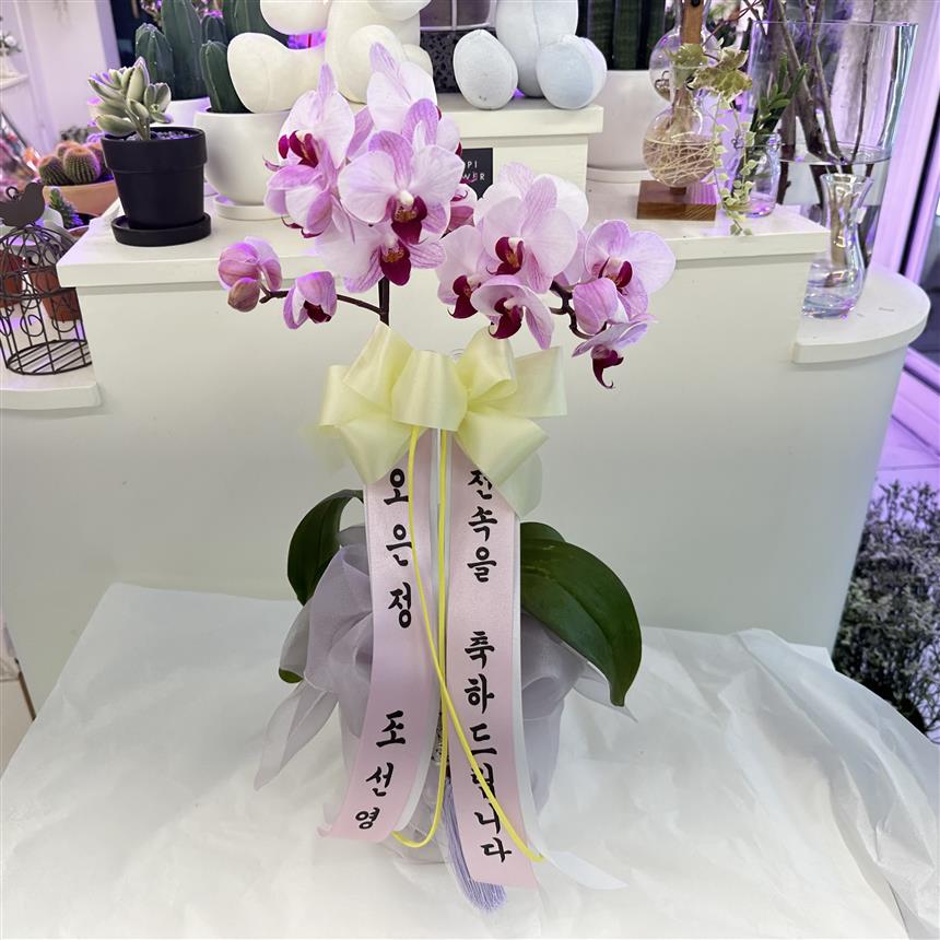배송사진