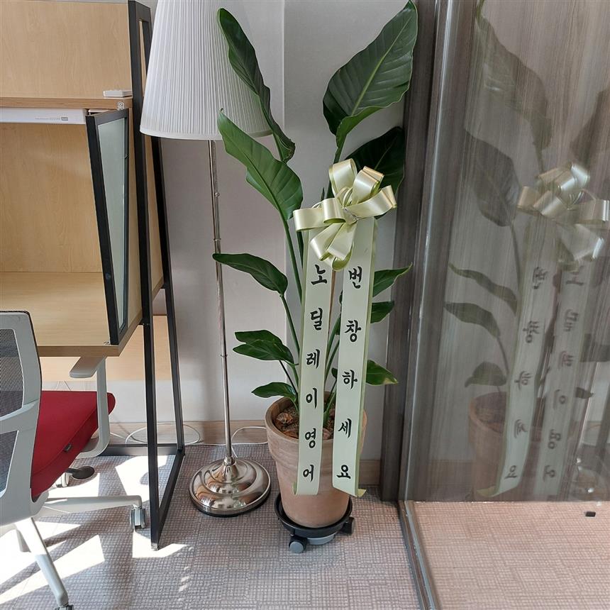 배송사진