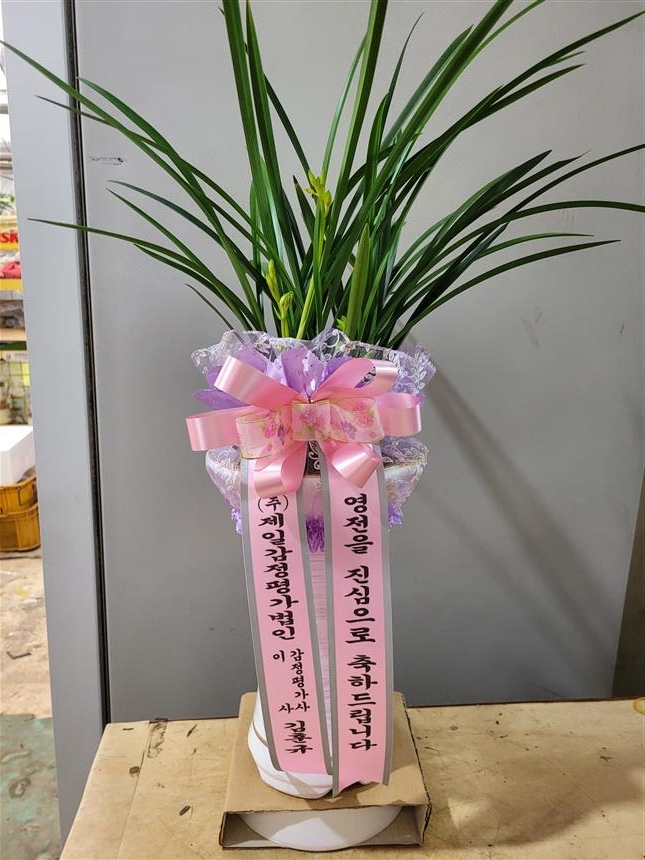 배송사진