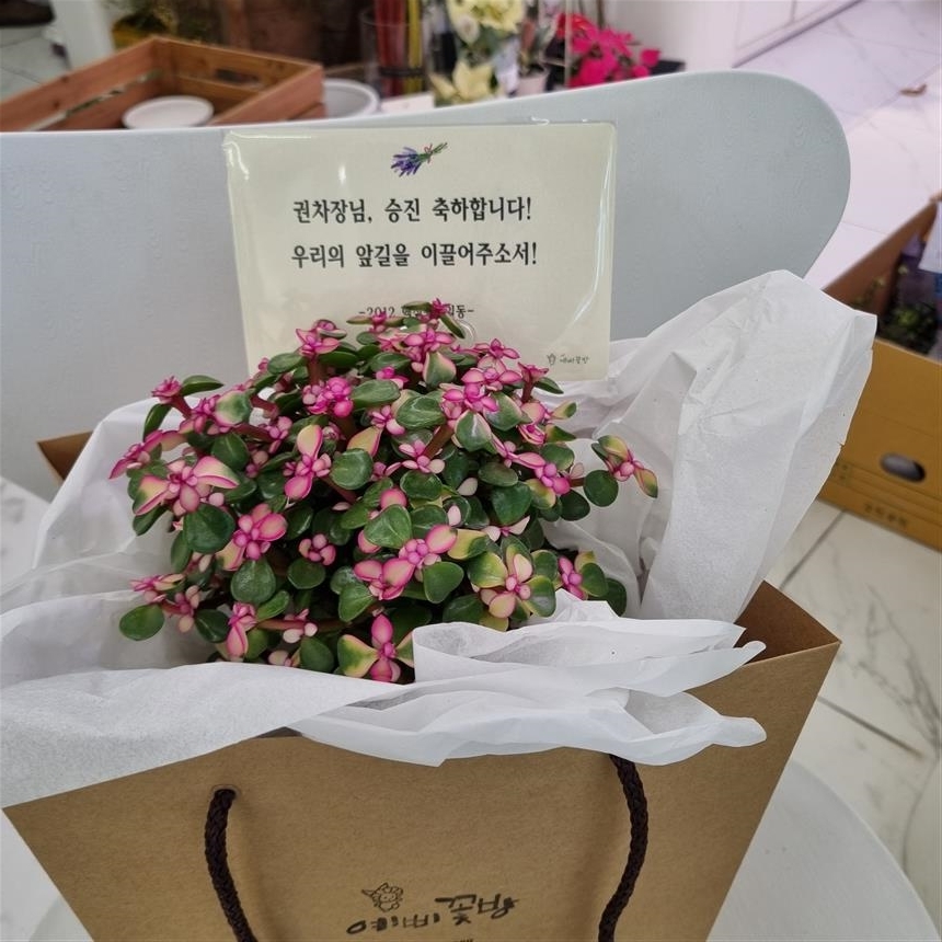 배송사진