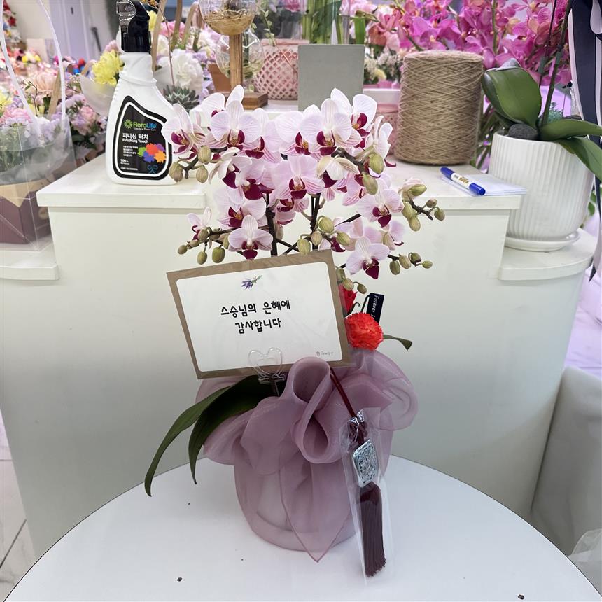배송사진