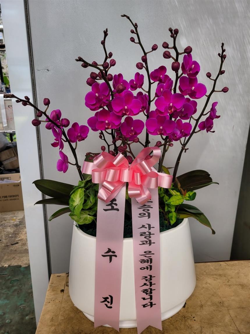 배송사진