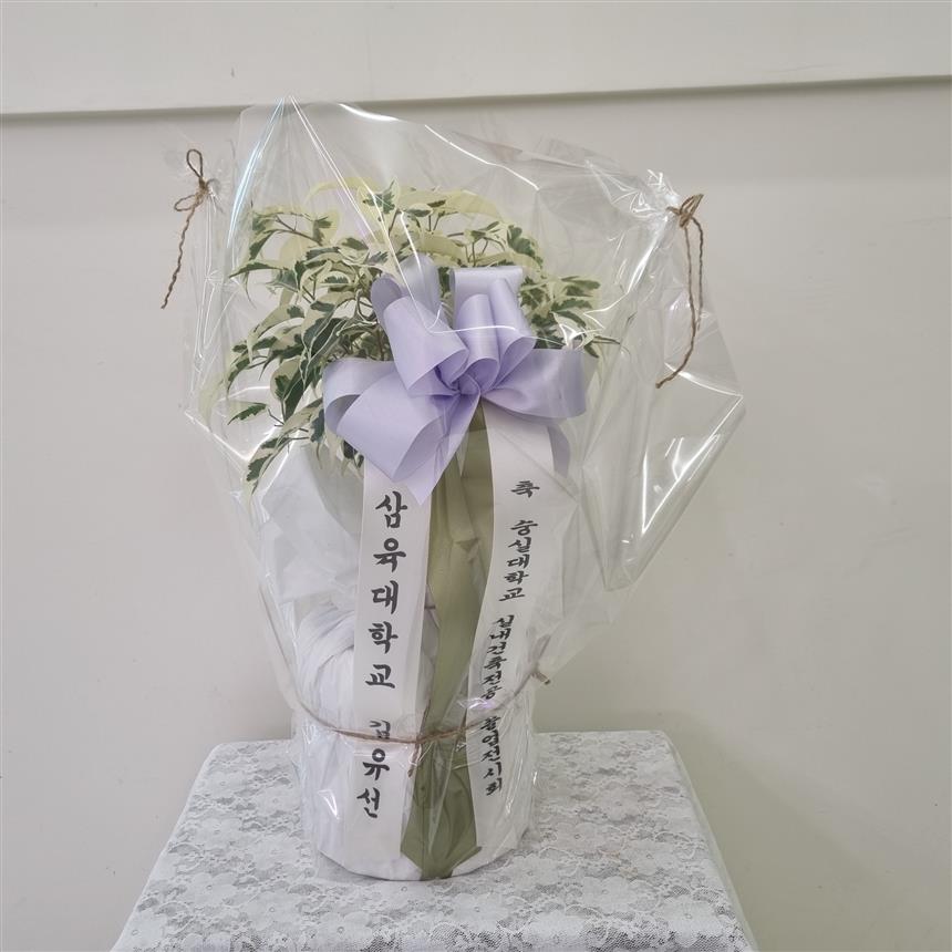 배송사진