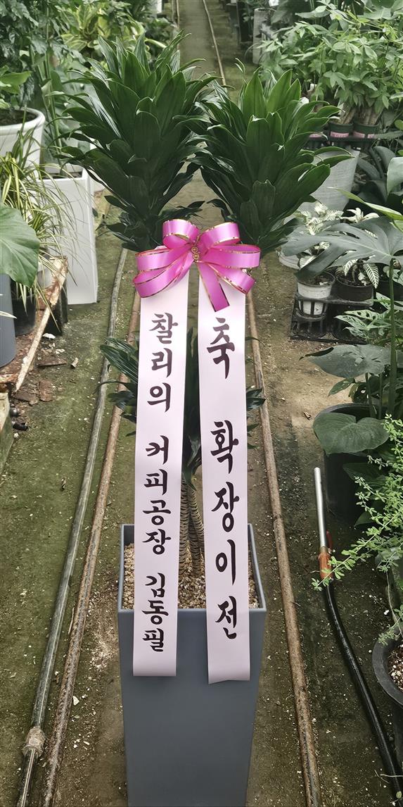 배송사진