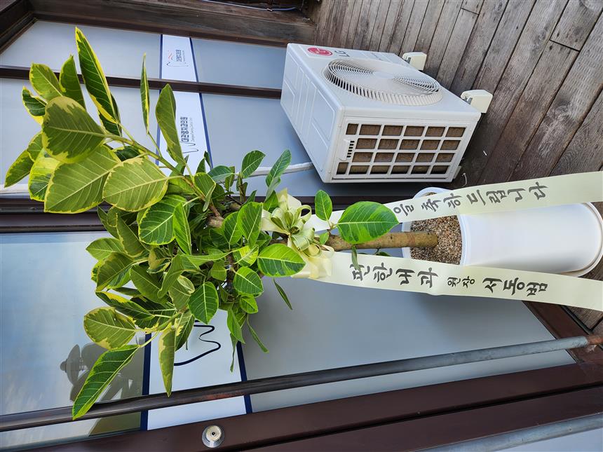 배송사진