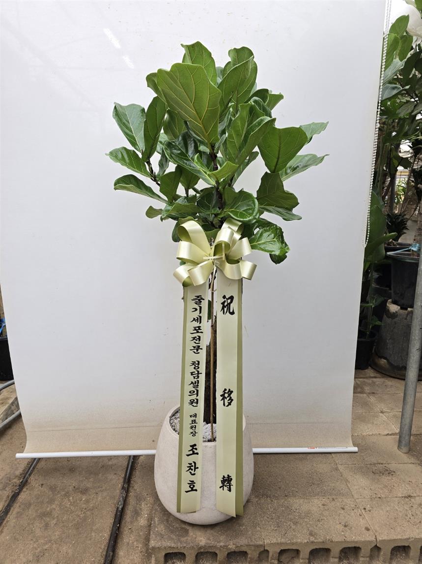 배송사진