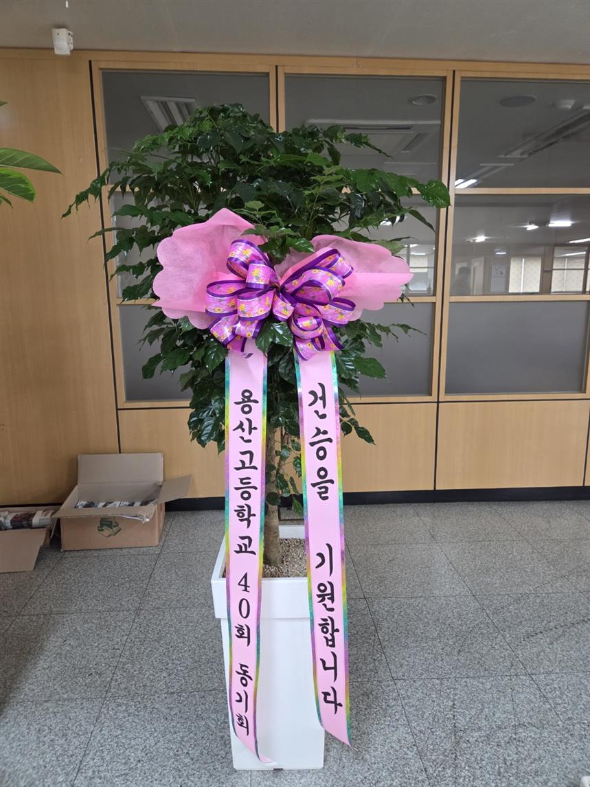 배송사진